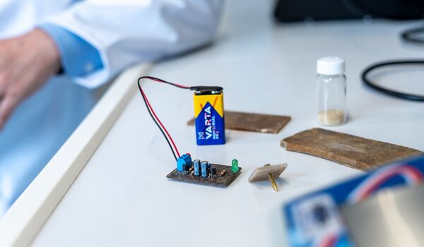 Kompostierbare Leiterplatte aus Pilzmyzel (AnimatPCB) der TU Bergakademie Freiberg