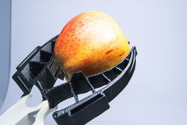 Robotergreifer mit haptischen Fähigkeiten können Äpfel und anderes Obst künftig schonender fassen und sortieren.