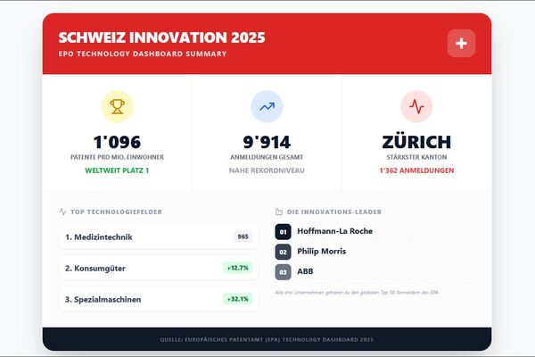 schweiz patente - ein dashboard zum thema
