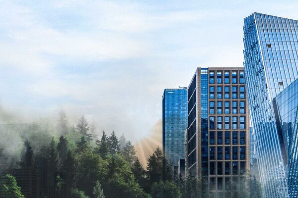 Omni Ray mit neuer Corporate Identity