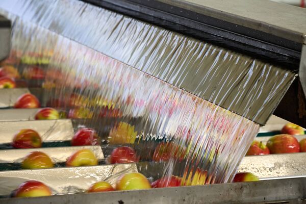 Sensortechnik Leuze Apfelroute