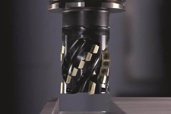 Walter Xtra·tec XT M5250: Hochleistungs-Igel-Fräser