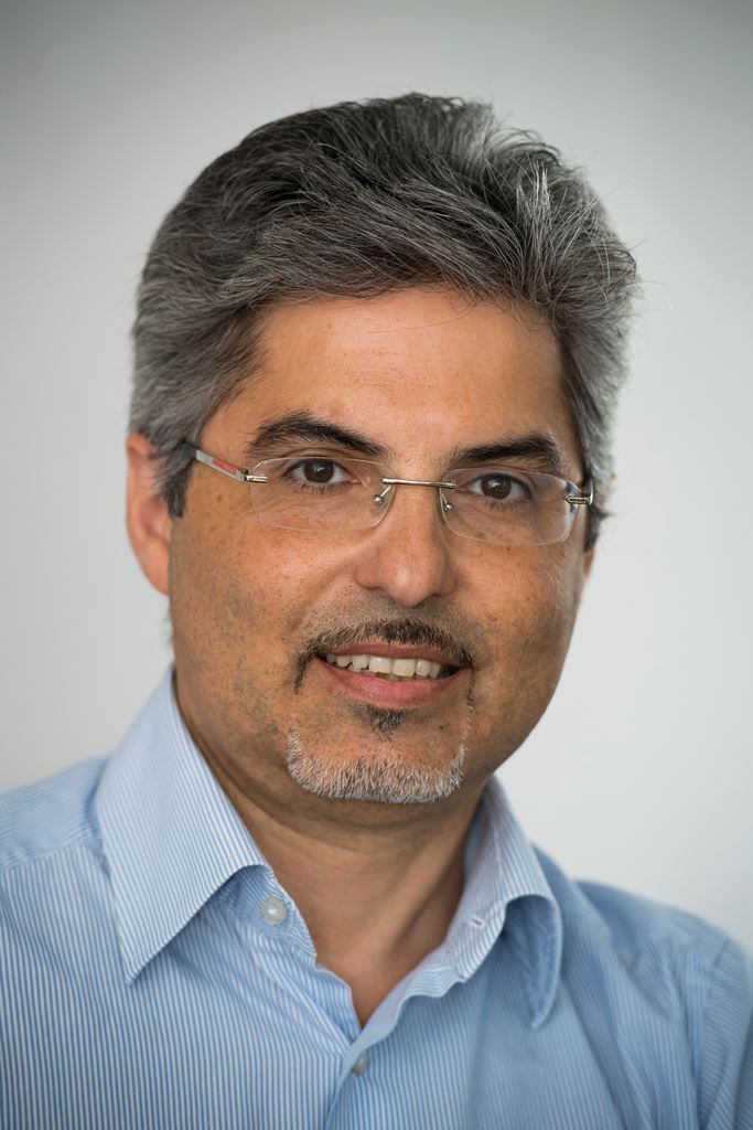 Professor Luigi Occhipinti