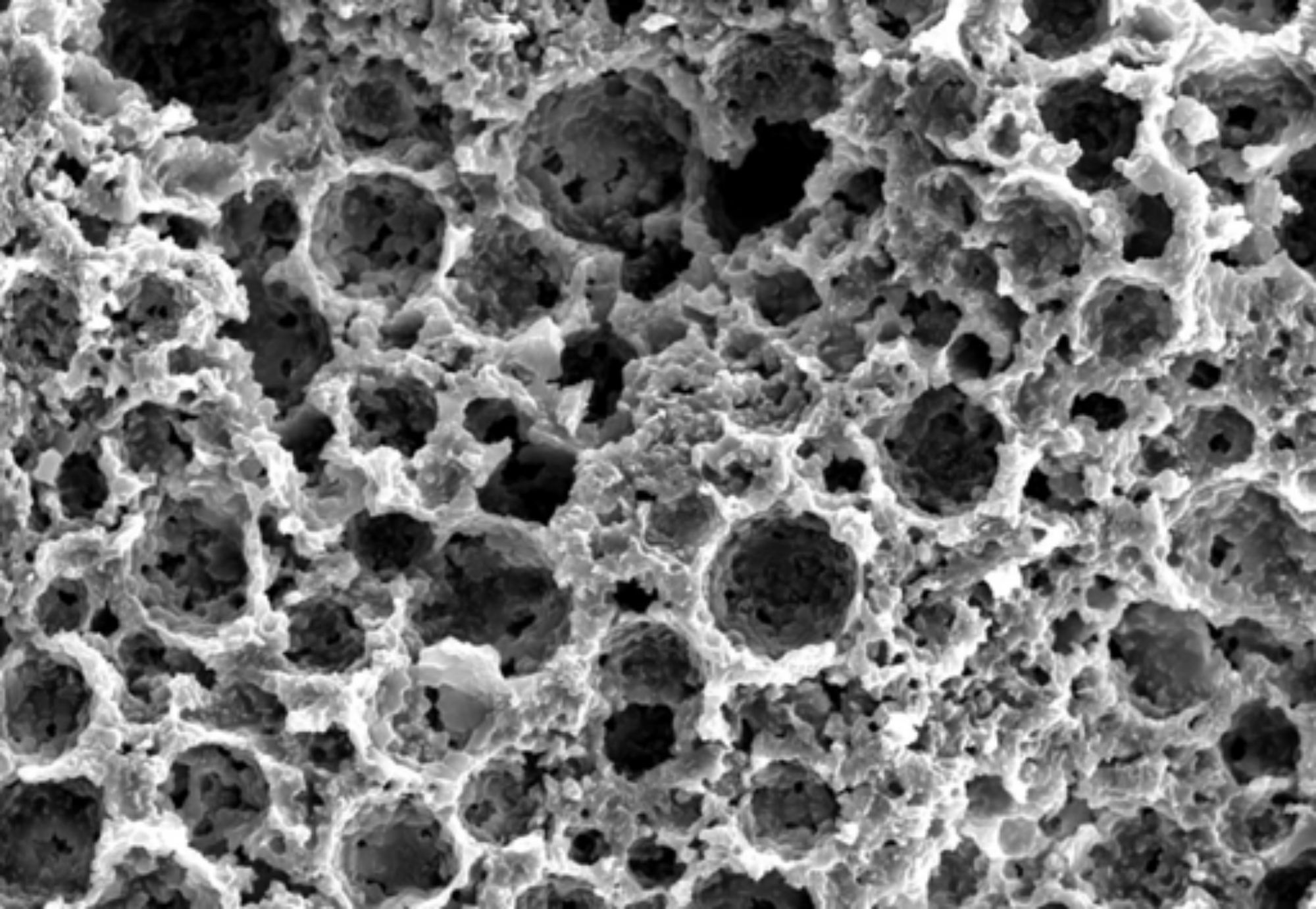 Die grösste Herausforderung für die Bearbeitung der harten Waferoberflächen war es, die passende Bindung für das Submikron-Diamantkorn zu entwickeln.  Foto: Meister Abrasives